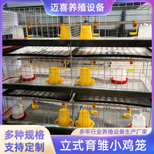 小鸡笼养殖场专用立式育雏鸡笼专业养鸡设备阶梯式热镀锌鸡笼设备