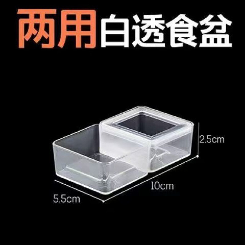 寄居蟹专用饲养爬宠饲养盒昆虫观察盒新手套装饲养缸寄居蟹套餐|undefined