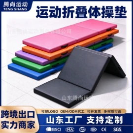 体操/运动垫;体操用品;其他健身器材