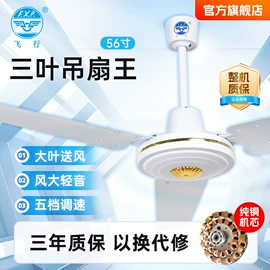 电风扇;吊扇;工业风扇