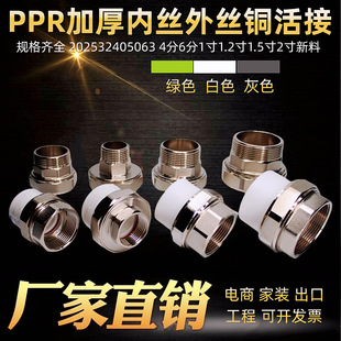 ppr�~��ӃȽz��z20353240������������^��46��1����ۻ�ӹܼ�