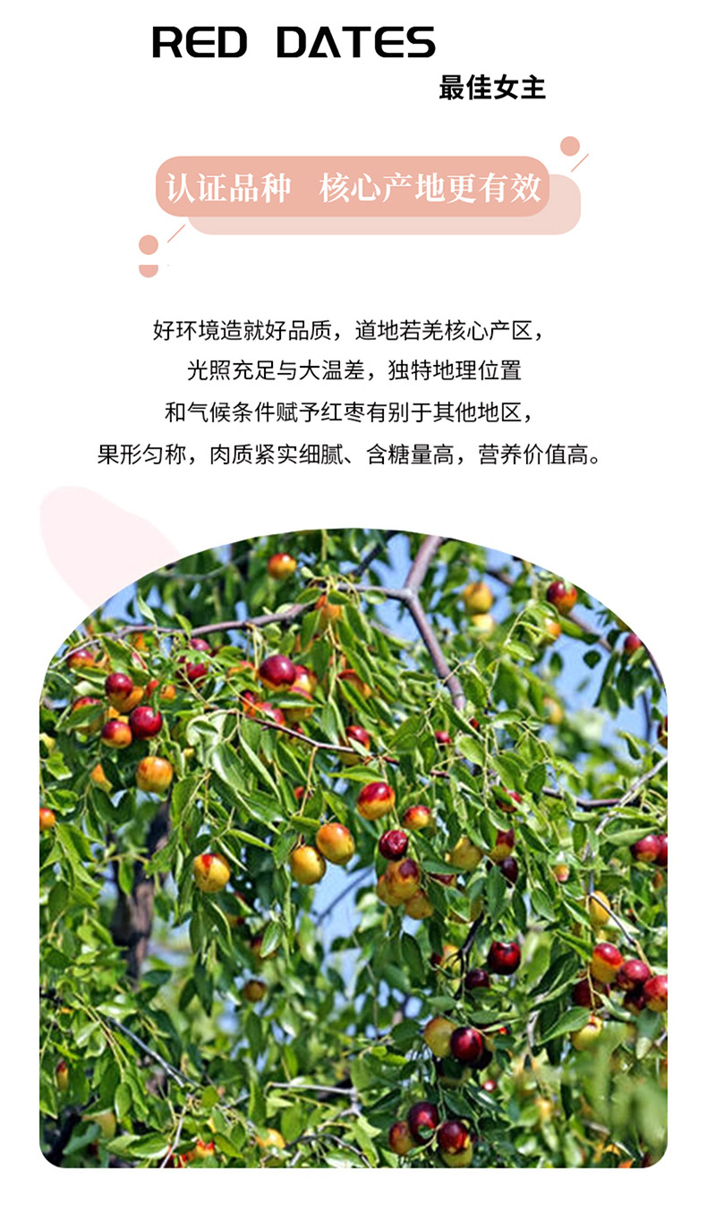 Dried Red Date Slices Seedless Hong Zao 500g Xinjiang Jujube Herbal Fruit Tea Bulk key features