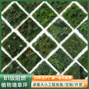 UVϻƺپGֲGB1ȼƺֲb