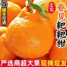 �Ĵ����ڴ�Ҋ�ҰҸ����θ����������������r��؛ˮ������5��9��