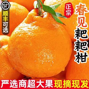 �Ĵ����ڴ�Ҋ�ҰҸ����θ����������������r��؛ˮ������5��9��