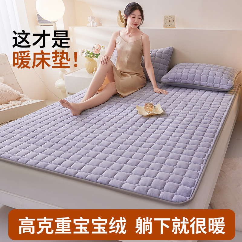 木槿紫