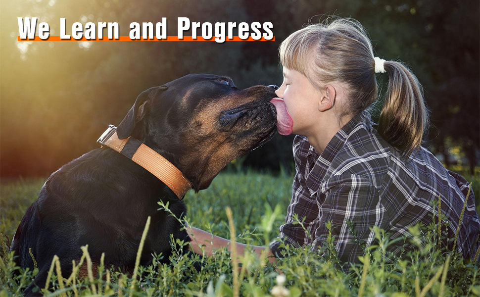 7c336c83-ad22-42a6-8dd7-c9b033