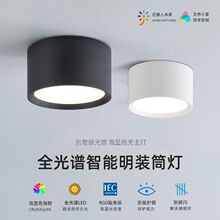 已接入米家APP智能明装筒灯圆形客厅射灯卧室明装射灯蓝牙mesh2.0