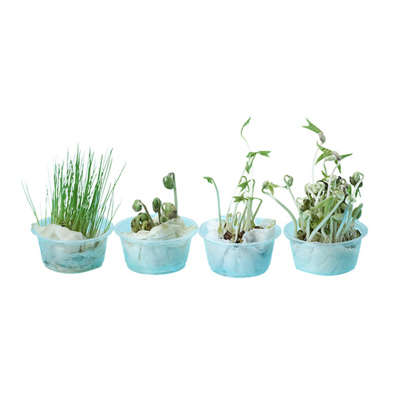 Tecnología pequeña producción semilla germinación Tecnología pequeña producción niños alumnos de Primaria ciencia y educación experimental juguetes interesantes materiales educativos