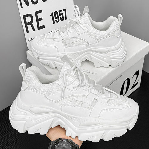 Men's shoes autumn mesh breathable fashion brand all-matching sneaker casual shoes men's platform sole height-increasing black dad fashionable shoes