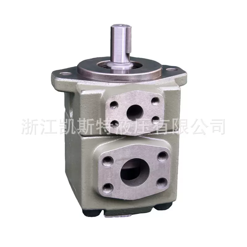 工厂直销仙居泵PV系列液压叶片泵耐高压高温耐用性强静音高压泵