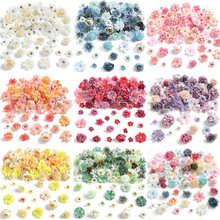 滨ϰ СdiyֹhoϼٻhL^ʹ