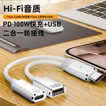 type-c�Dlightning���C+���100W�D�Ӿ��m��iPhone16�A���֙Cƽ��
