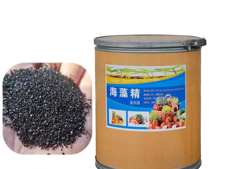 微信图片_20230624142144