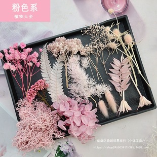 ��ɫϵ�������滨�ɻ�diy���ϰ��ֹ��������F�ȈF����ָ�ػ���