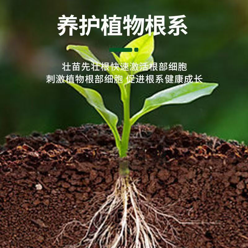 Quick rooting powder plant universal rooting agent for cuttings for…