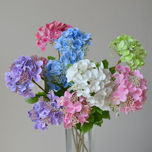 �羳���l�Ҿ��b��滨��c����3D��ӡ�ָ��z2�^���й�����ٻ�