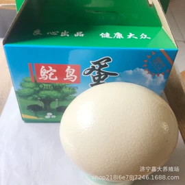 鲜/活禽类;皮毛工艺品;景观雕塑