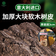 【工厂直销】意大利进口天然软木树皮兰花鹿角蕨蝴蝶兰种植板树皮