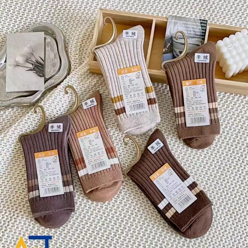 微信图片_202409161726093