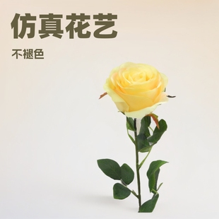 Simulated Zhenhui Little Rose Powder Snow Mountain Rose Home Decoration Photo Manufacturer Wholesale Home Decoration