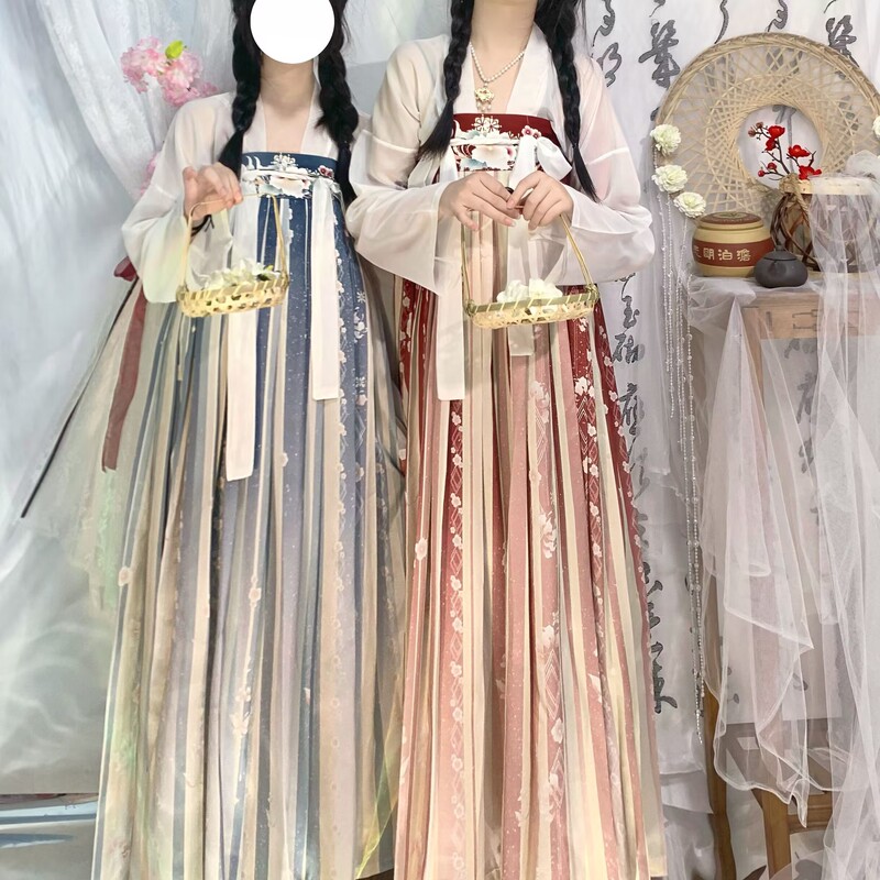 Tang style new style hanfu spring and autumn Tang style printed chest dress full set Chinese style photo Hanfu Flower language dress