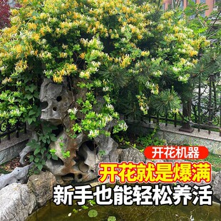 �ļ��B���ٽ��y�������Ϙ�������Ԯ�_���ܿ�ʳ��ș������ͥԺֲ��