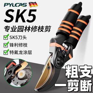 SK5�����@ˇ�����P�ʡ���޼���֦���ü��ӏS��ֱ�Nһ�����]�S��