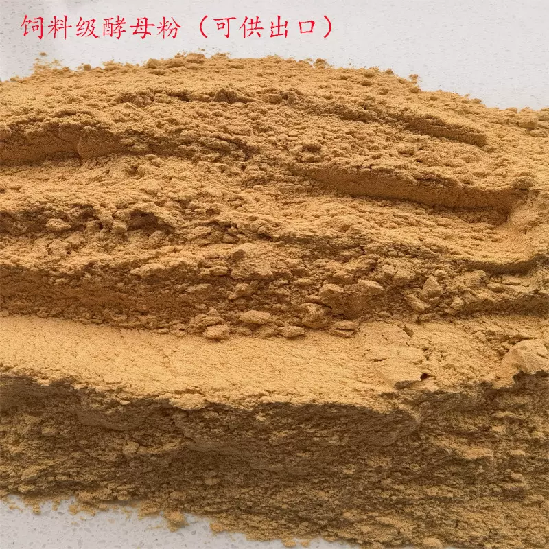饲料酵母粉  淡黄色酵母粉饲料原料 量大价优