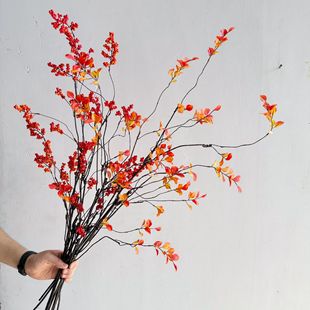 ������ɫС���~ �������＾�~�� �Ӱ巿���Pˇ�g�廨�b[���~��
