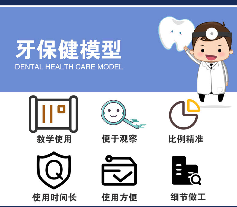 牙保健模型_05.jpg