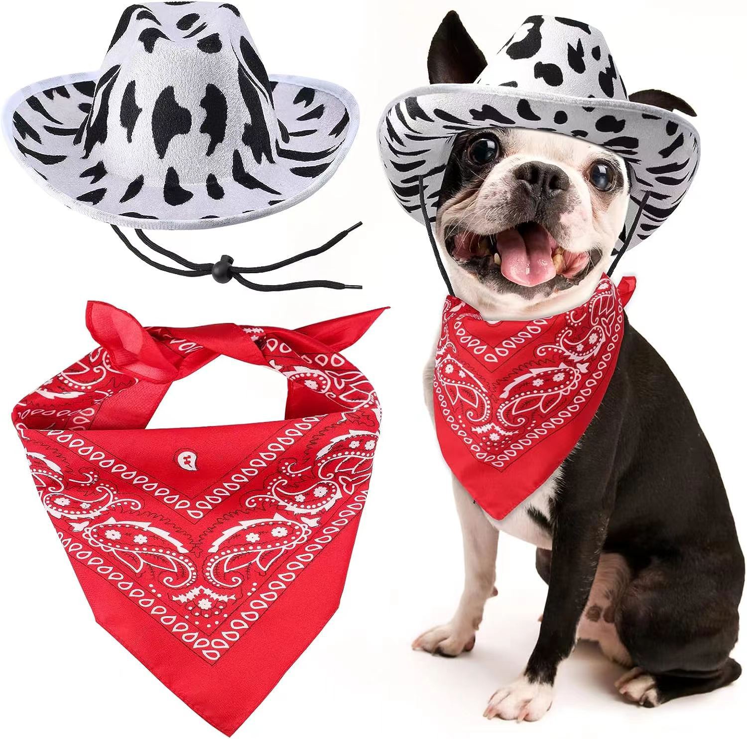 微信图片_20230827145808