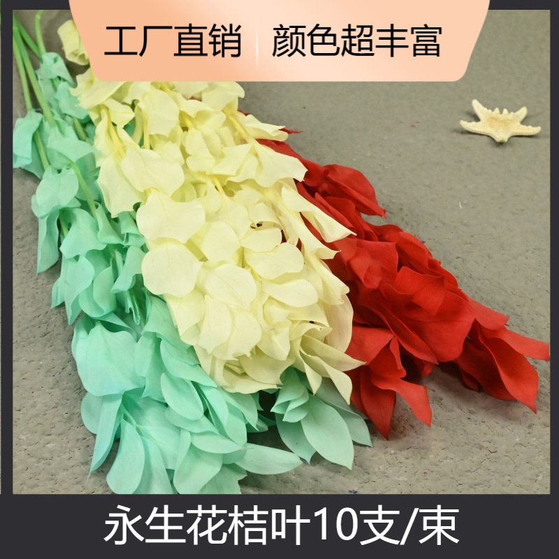 Magic flower Everlasting Flower Orange Leaf 5/bouquet small bouquet diy bouquet packaging wreath material making Valentine's Day gift box