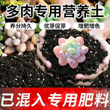 ���⌣��������I�B���������Nֲ��С�������ö������B���w�����]