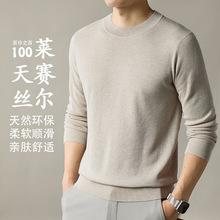 2025年秋季长袖针织衫100%莱赛尔天丝圆领净版男士T恤休闲打底衫
