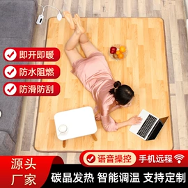 水暖毯;电热毯;电热毯/垫