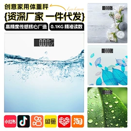 体重秤;厨房秤;手提秤