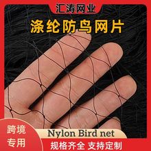 跨境加粗尼龙网厂家批发防鸟网果园种植天网鱼塘养殖网