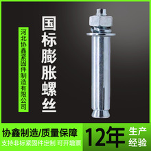 协鑫制造 膨胀栓 国标膨胀螺丝 M6-M24膨胀螺栓 工厂直营