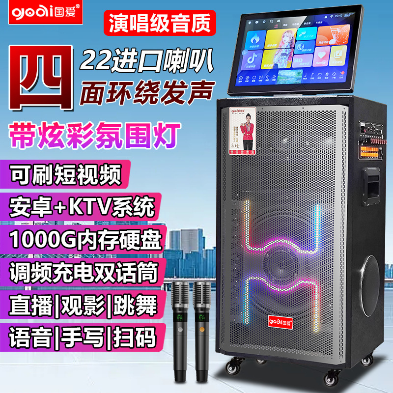Guoai D28K Karaoke Speaker with Display for Square Dance, Ktv All-In-One Machine Speaker with Subwoofer Stereo