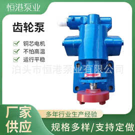 滤油机齿轮泵  压滤机齿轮泵 YCB齿轮泵  KCB齿轮泵 厂家供应