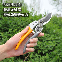 修枝剪果枝剪園藝修剪工具園林果樹用剪刀用品粗枝修剪