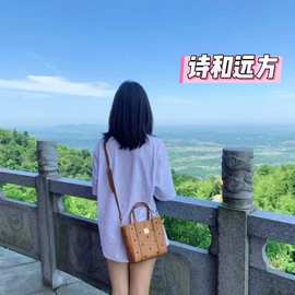 经典干邑色手提菜mini篮子高本单肩斜挎真皮托特女包送小狗挂件