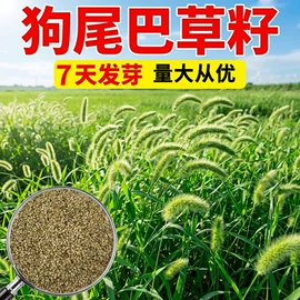 草种子;一二年生花卉;宿根花卉