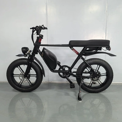 Auto Parts and Accessories, Jianlang Adult Seven-Speed ​​Variable