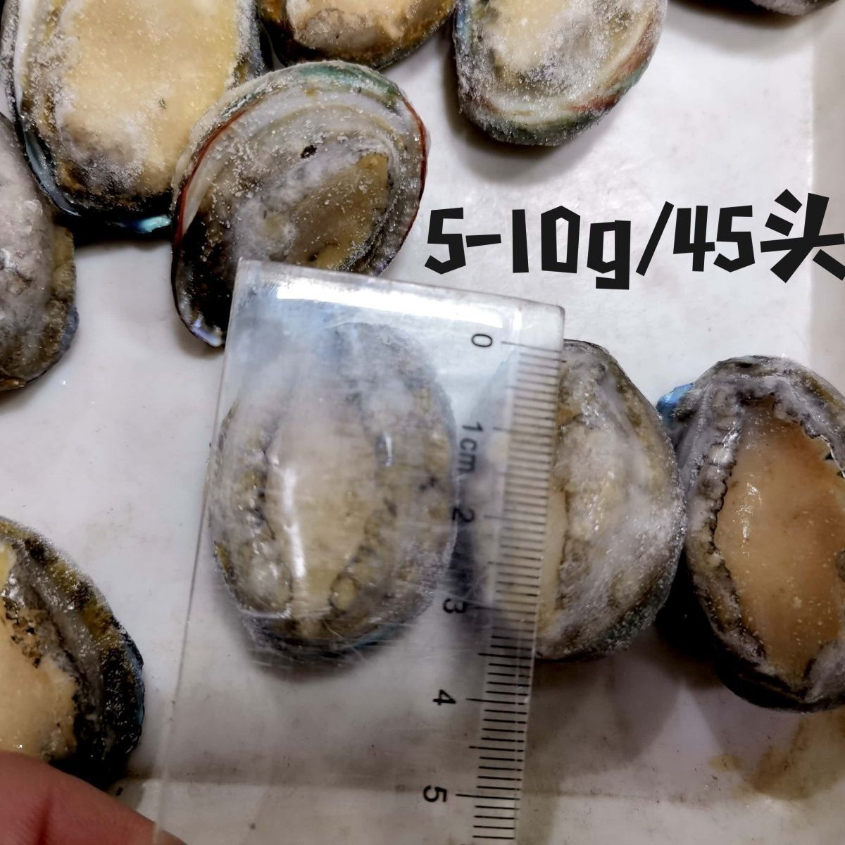 O1CN01aMIhWY1cisbdOfABE_!!2207