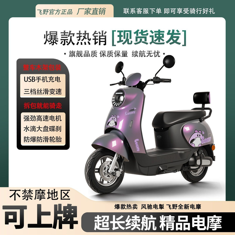 Little Golden Turtle cross-border electric motorcycle, new two-wheeled electric vehicle, export standard electric motorcycle for adults