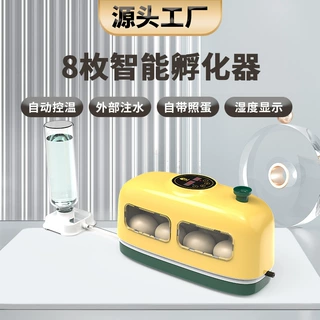 工厂直供8枚小火车鸡蛋孵化器童年教育小鸡孵化机芦丁鸡孵蛋器