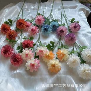 ���滨������·�����ٻ���Y���b�픻��ĵ��Ż����T�b�����