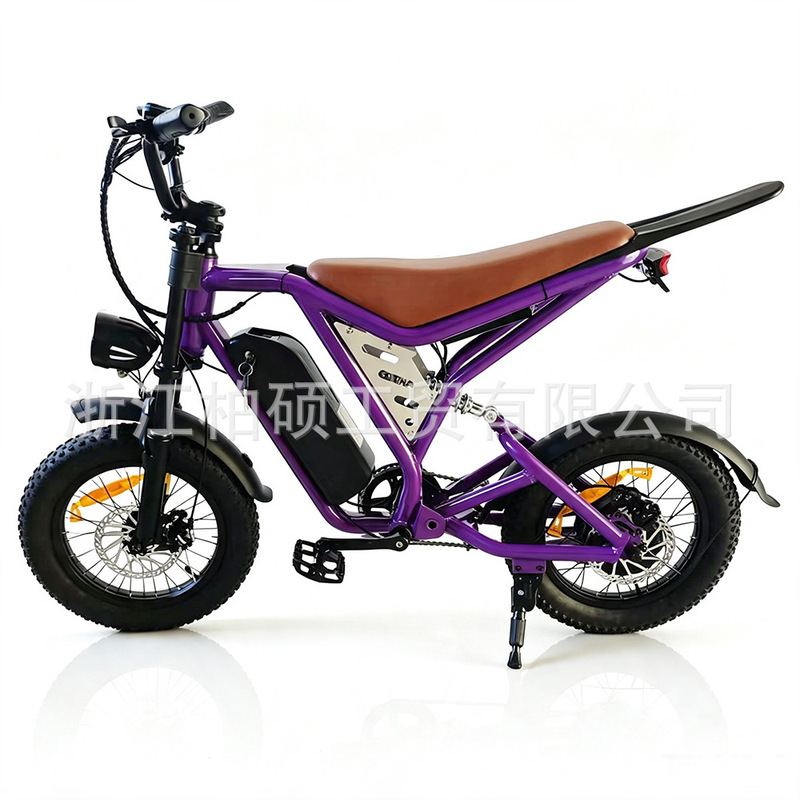 Direct from the manufacturer 16inch Adult electric bicycle with soft tail and spoke wheels